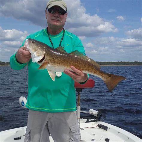 Steinhatchee Flats Fishing .